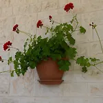 Trulli Dal Conte شقة لوكوروتوندو