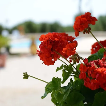 Trulli Dal Conte Apartamento *