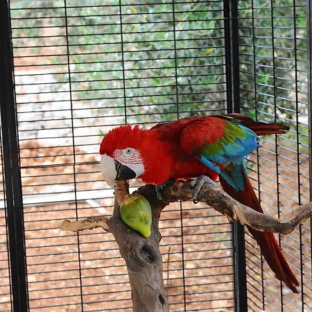 Trulli Dal Conte Locorotondo