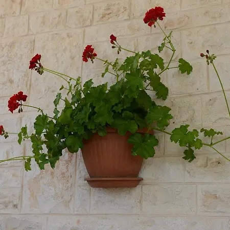 Trulli Dal Conte Appartement Locorotondo