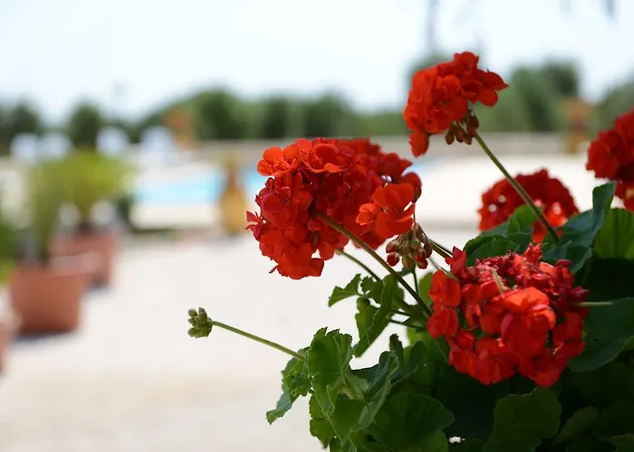 Trulli Dal Conte דירה *