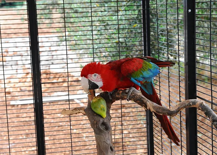 Trulli Dal Conte לוקורוטונדו