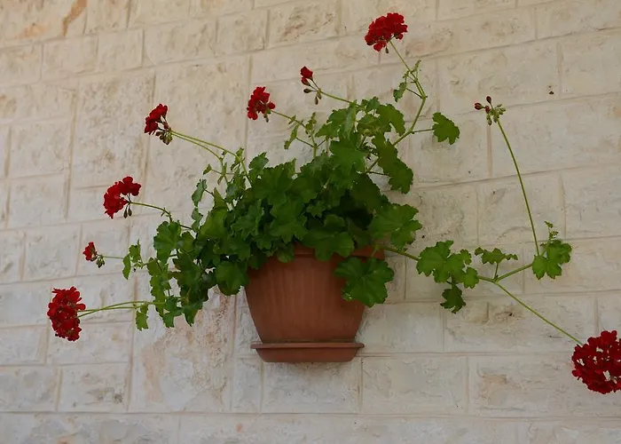 Trulli Dal Conte דירה לוקורוטונדו